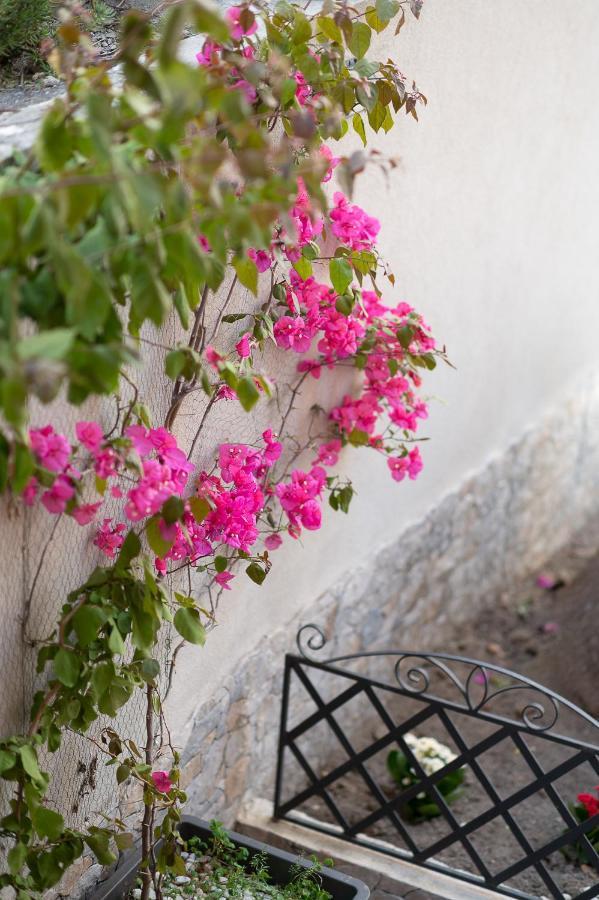 La Magnolia Rooms Procida Exteriér fotografie