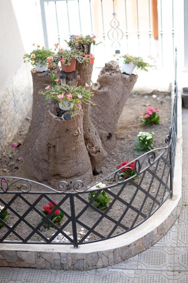 La Magnolia Rooms Procida Exteriér fotografie
